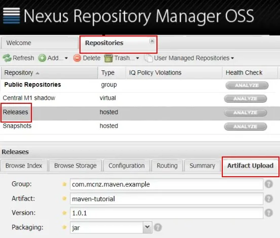 Admin console for Nexus tutorial