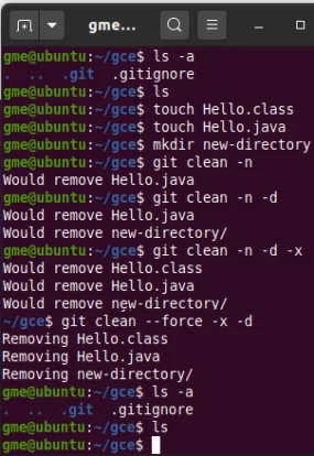 git clean command