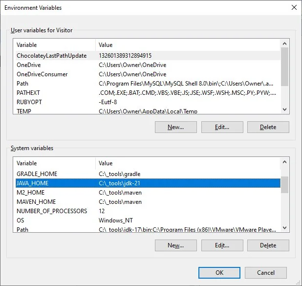 Set JAVA_HOME for Java 21