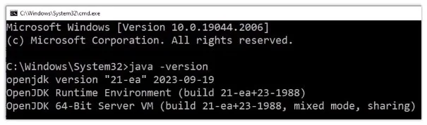 successful JDK 21 install