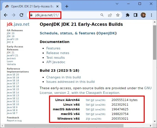 install Java 21 JDK