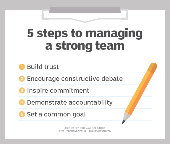 programmer team manager tasks