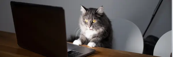 Practice for the Atlassian Jira ACP-520 Certification Exam