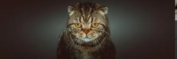 Understanding Java Console Output Methods